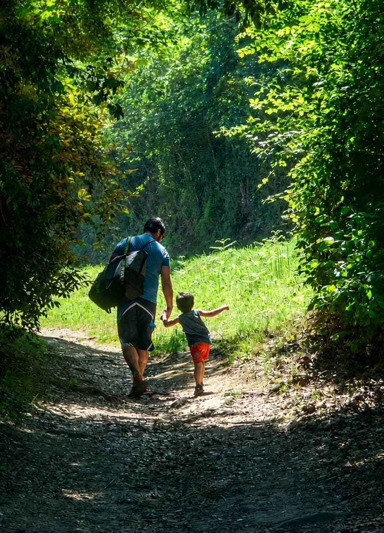 A father and his young son walking together up a sunlit forest path.