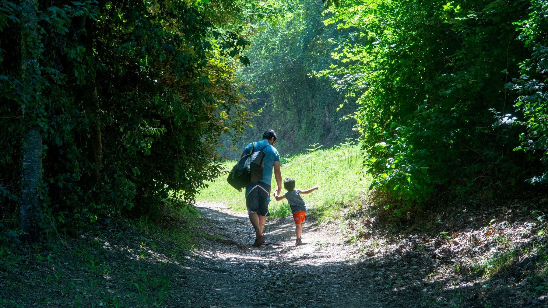 A father and small child walk hand in hand down a sunlit forest path, seen from behind.